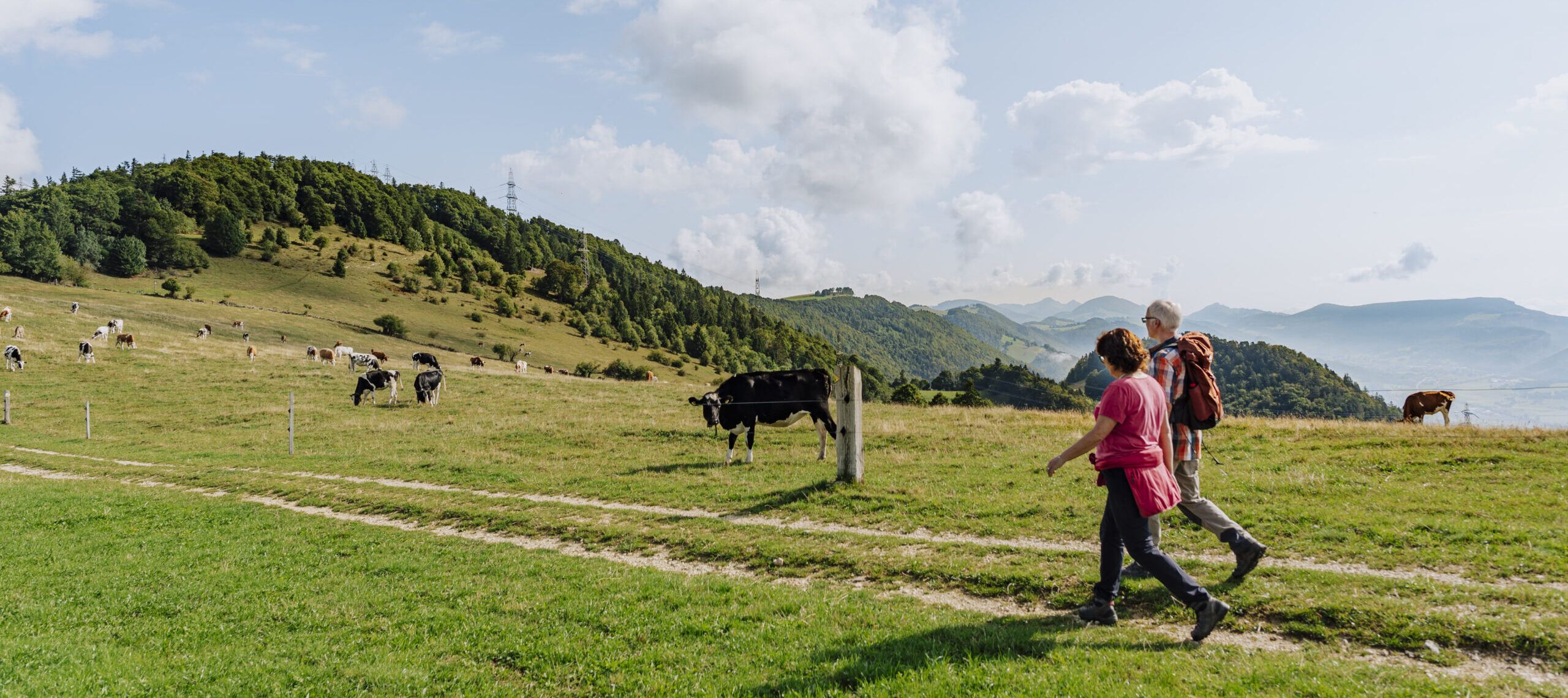 Wanderung Thal Naturpark