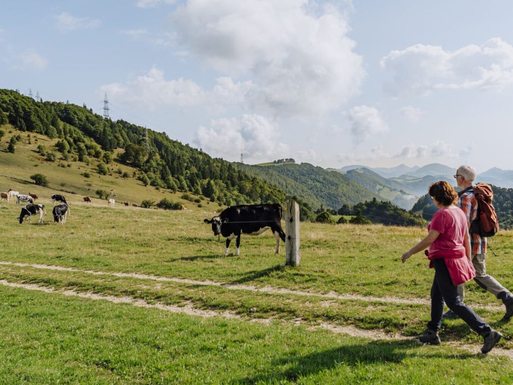 Wanderung Thal Naturpark