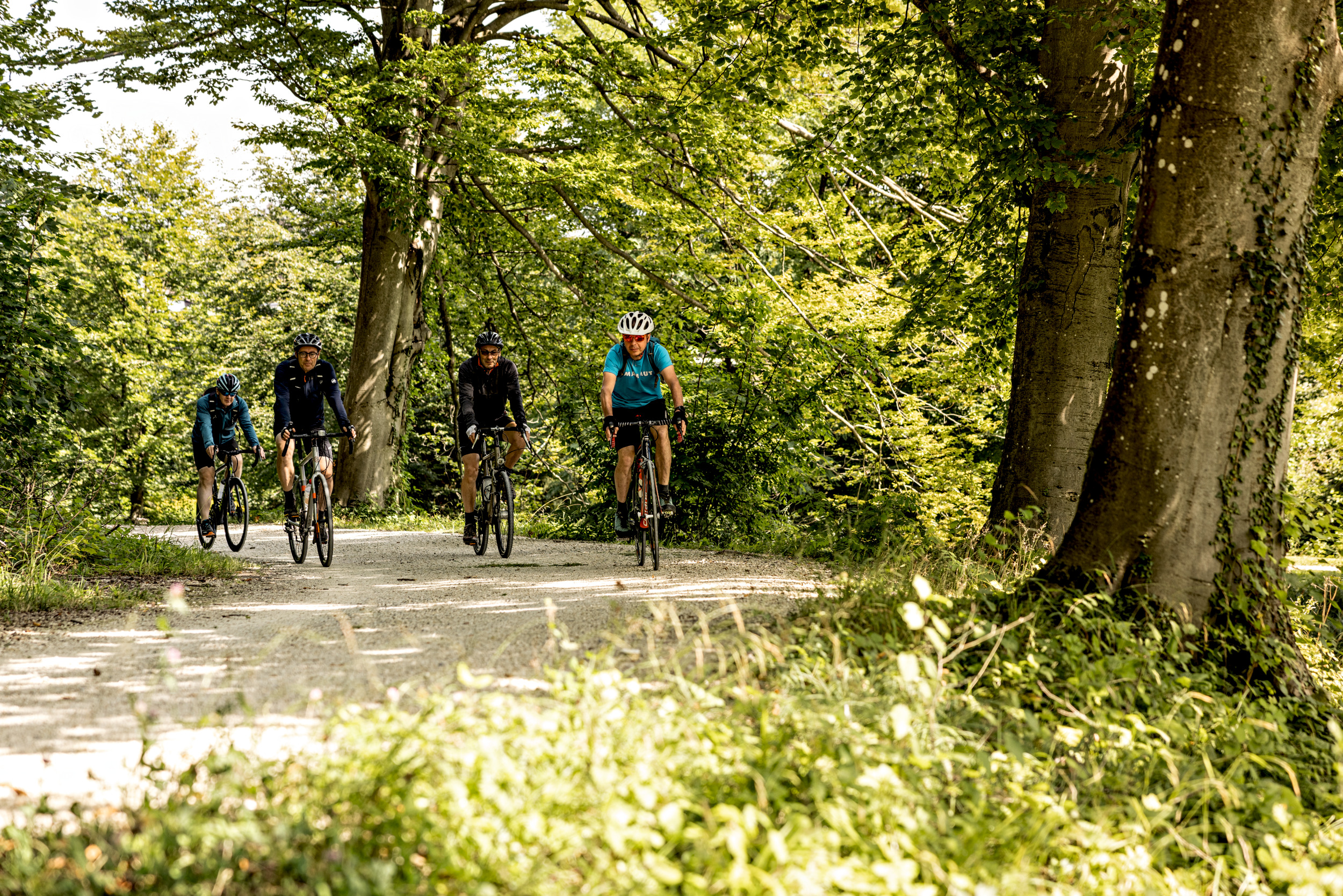 Mittellandroute, Bike, Velo,