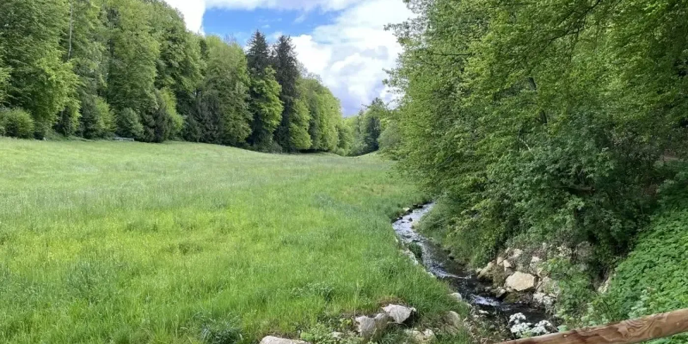 width="1400"