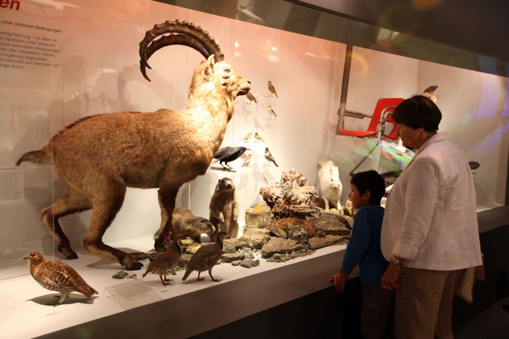 Naturmuseum in Olten