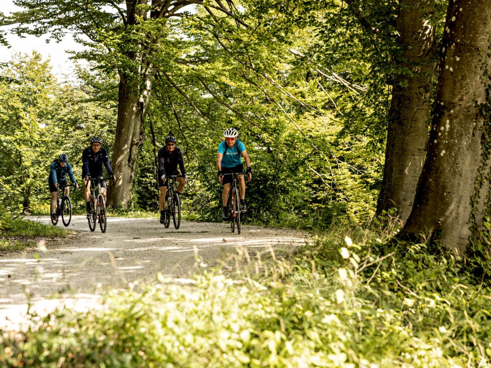 Mittellandroute, Bike, Velo,